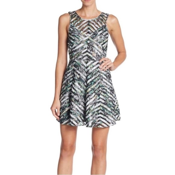 Parker Mirabelle fit & flare sleeveless sheer tropical mini dress Chevron small - Picture 1 of 11